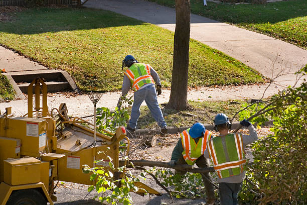 Best Tree Mulching  in New Vienna, OH